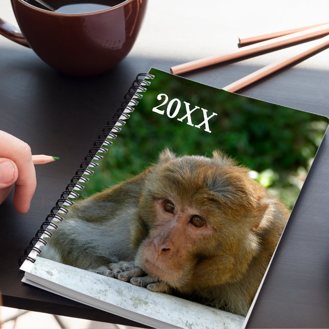 Monkey - Grandfather Planner (Creator Uploaded)