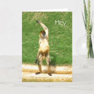 Monkey greeting card