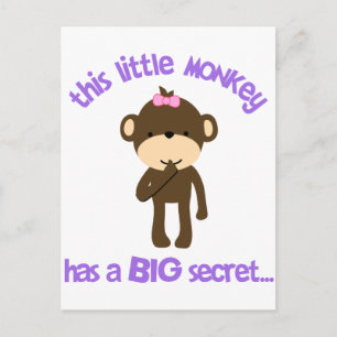 Monkey Has A Secret Big Sister Postcard
