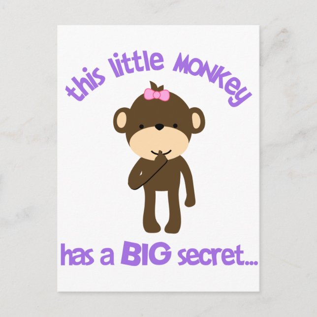 Monkey Has A Secret Big Sister Postcard (Front)
