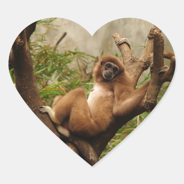 Monkey  Heart Sticker (Front)