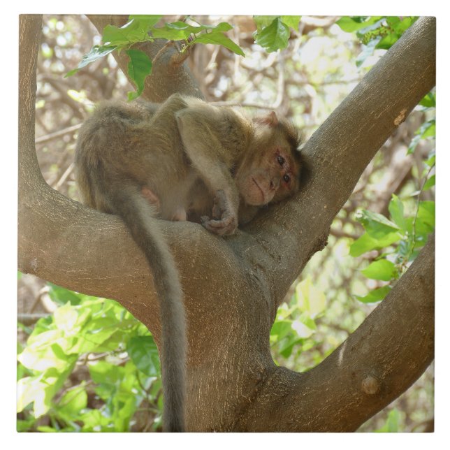 Monkey - I am sooo tired Tile (Front)