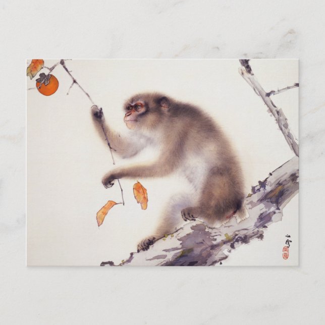 Monkey in a Persimmon Tree Postcard (Front)