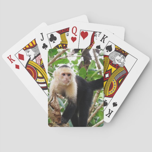 Monkey in Costa Rica Playing Cards (Back)