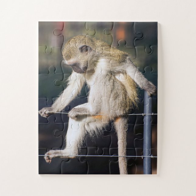 Monkey in deep thought jigsaw puzzle (Vertical)