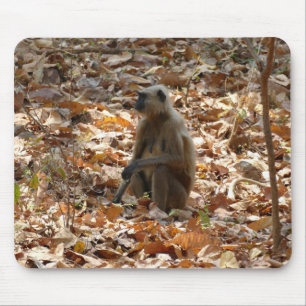 Monkey in Dry Season Mouse Mat