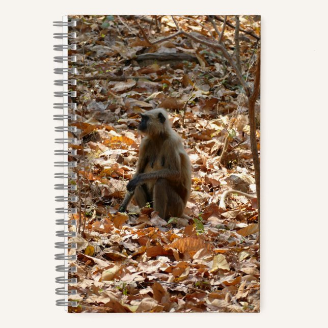 Monkey in Dry Season Notebook (Front)