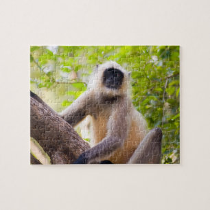 Monkey in jungle of Ranthambore National Park Jigsaw Puzzle
