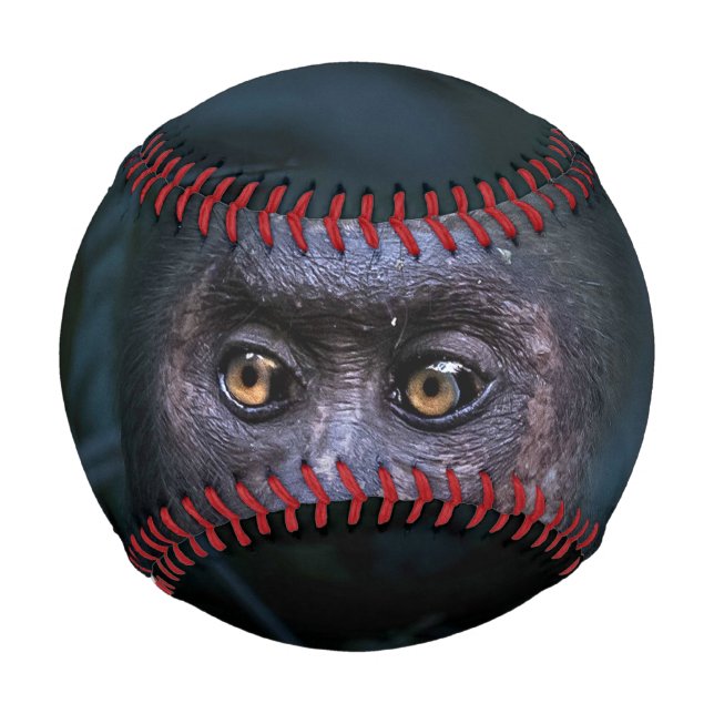 Monkey in the Jungle Baseball (Front)