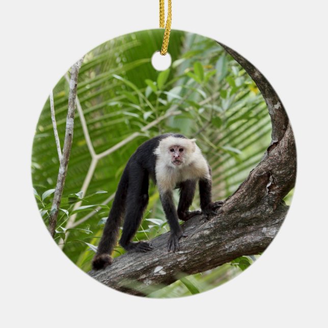Monkey in the Jungle Ceramic Tree Decoration (Front)