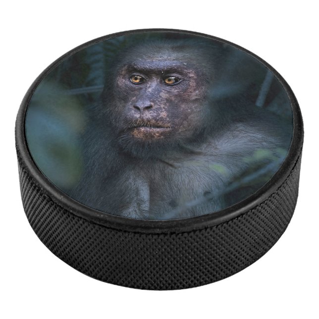 Monkey in the Jungle Hockey Puck (3/4)