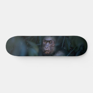 Monkey in the Jungle Skateboard