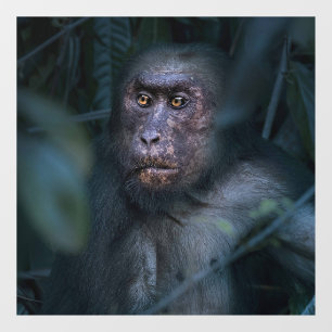 Monkey in the Jungle Window Cling