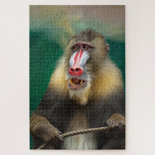 Monkey Jigsaw Puzzle
