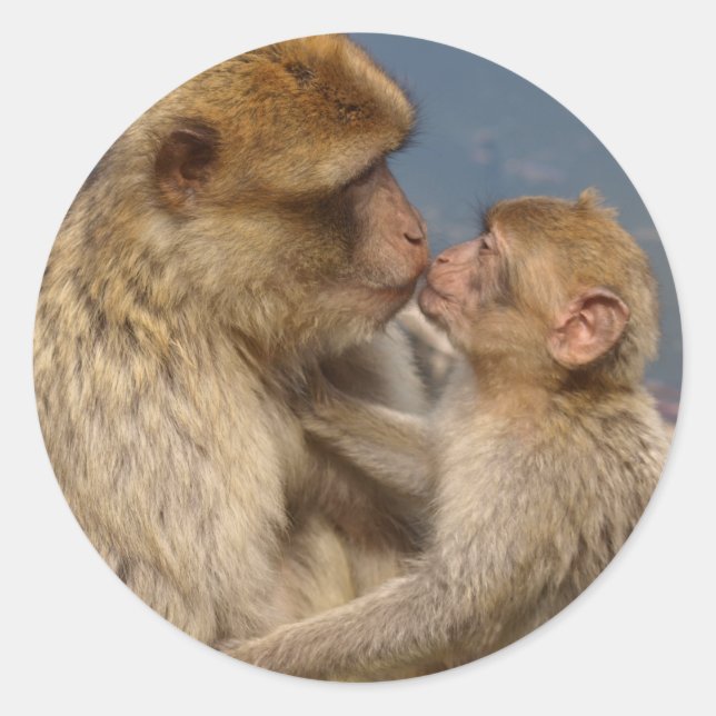 Monkey Love Classic Round Sticker (Front)