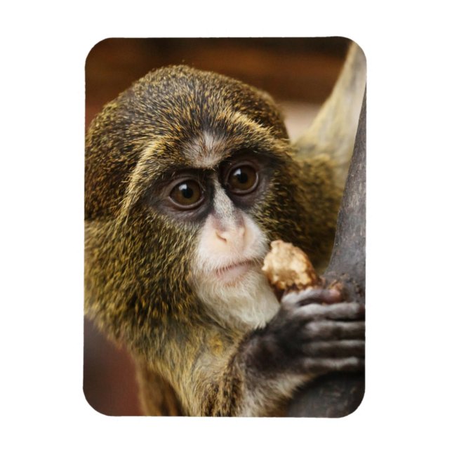Monkey Magnet (Vertical)