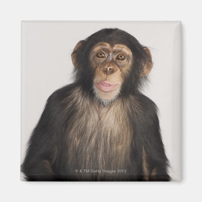 Monkey Magnet (Front)