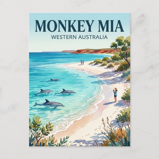Monkey Mia Australia Postcard (Front)
