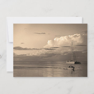 Monkey Mia Card