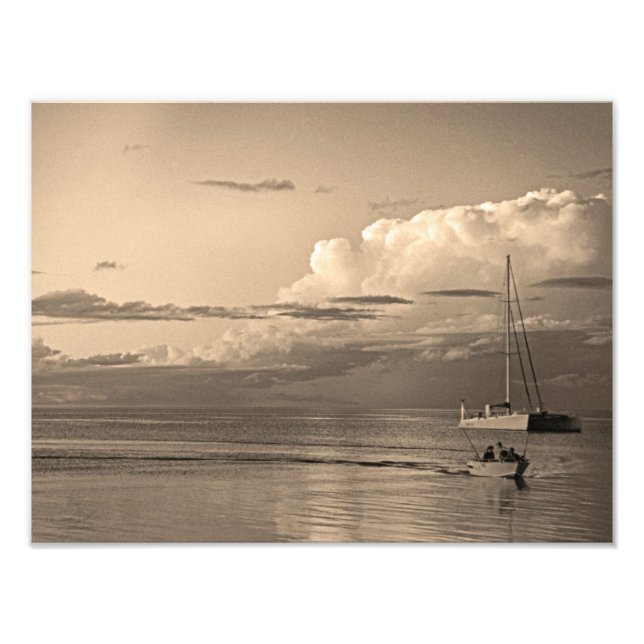 Monkey Mia Photo Print (Front)