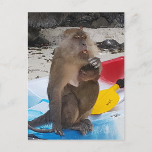 Monkey Mother & Baby Postcard