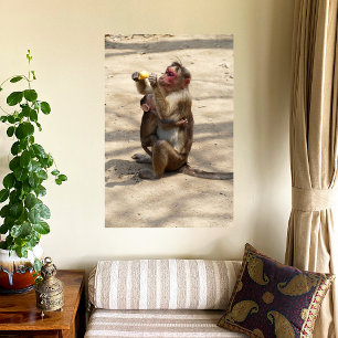 Monkey - Mothers Breakfast Canvas Print