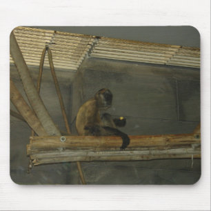 monkey mouse mat