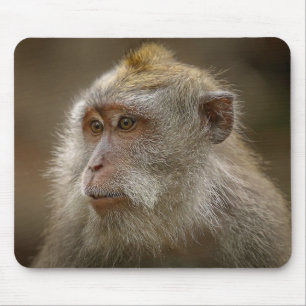 Monkey mouse pad