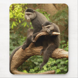 Monkey Mousepad
