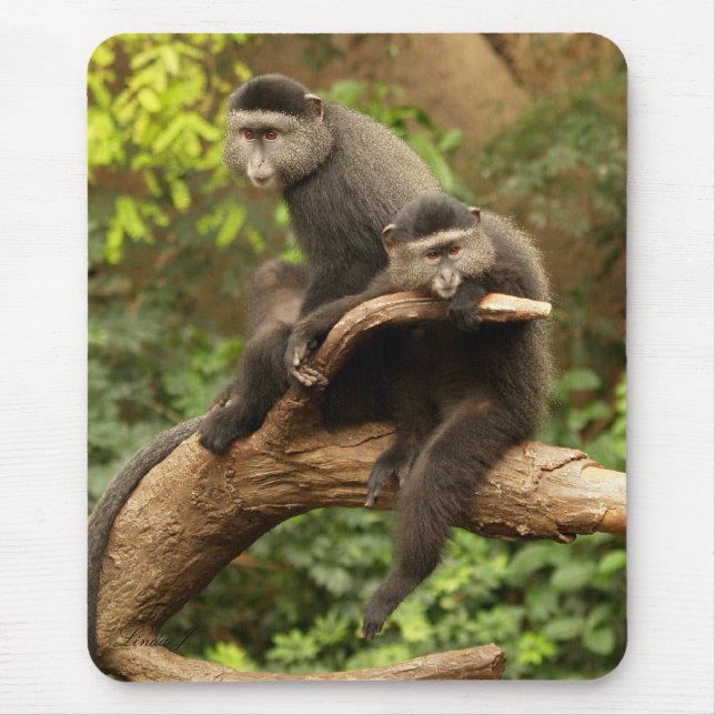 Monkey Mousepad (Front)