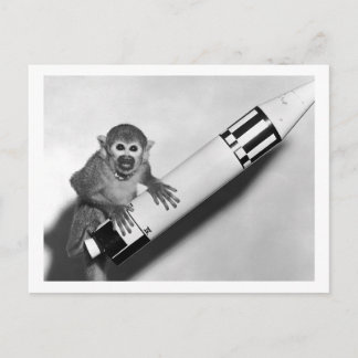 Monkey - NASA - 1950s Postcard