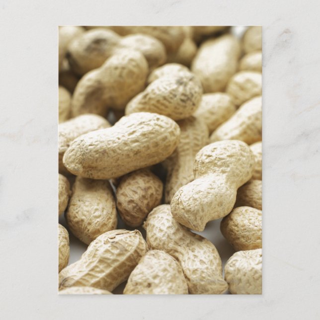 Monkey nuts. postcard (Front)