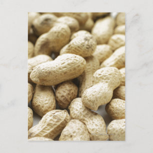 Monkey nuts. postcard