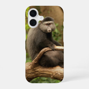 Monkey phone Case