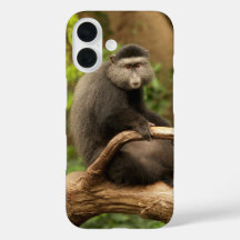 Monkey phone Case