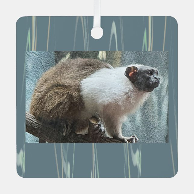 Monkey Photo Ornament  (Front)