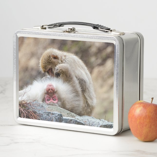 Monkey Photography, Japanese Macaque Monkey Metal Lunch Box (In Situ)