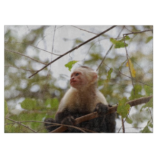 Monkey Photography, White Faced Capuchin Cutting Board (Front)