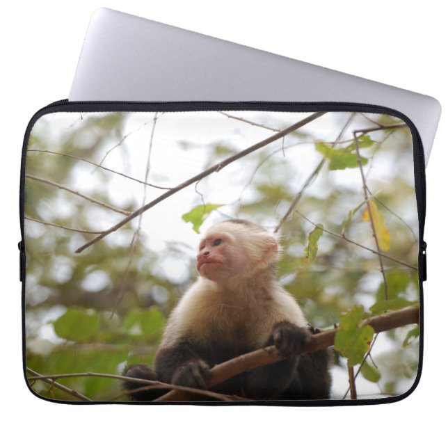 Monkey Photography, White Faced Capuchin Laptop Sleeve (Front)