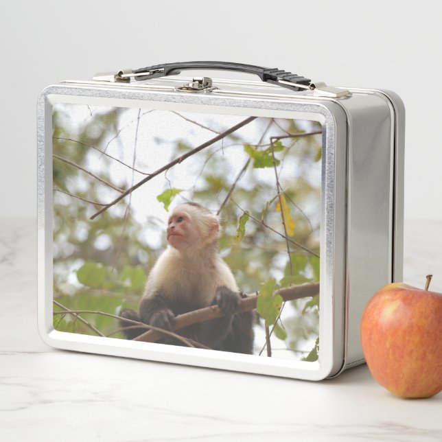 Monkey Photography, White Faced Capuchin Metal Lunch Box (In Situ)