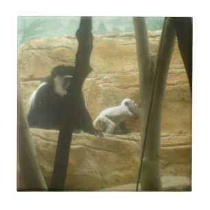 Monkey Play Tile