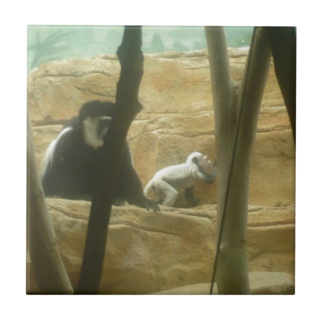Monkey Play Tile (Front)