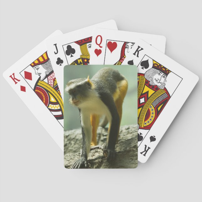 Monkey Playing Cards (Back)
