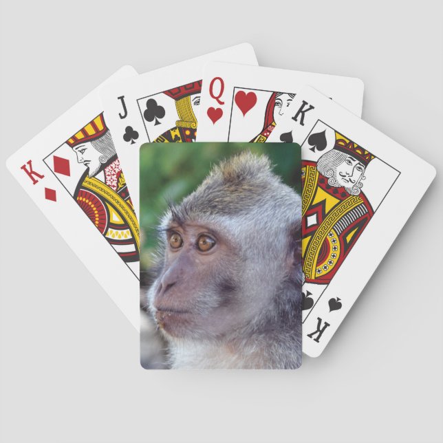 Monkey Playing Cards (Back)