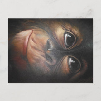 Monkey Postcard
