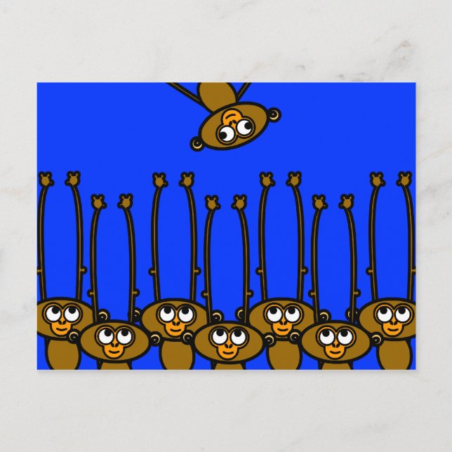 MONKEY Postcard (Front)