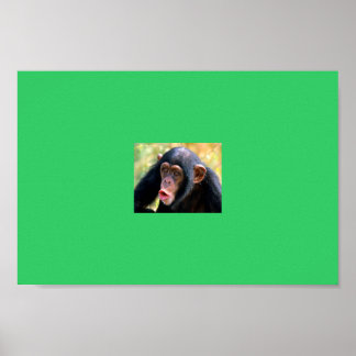 monkey poster