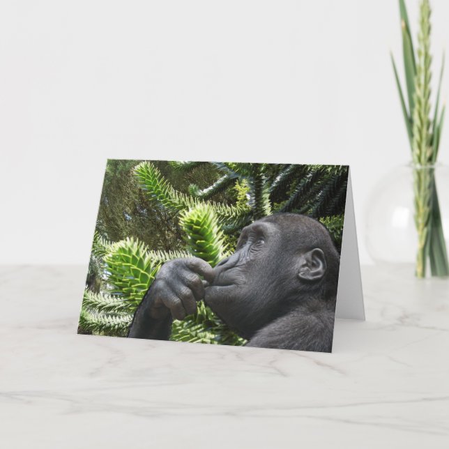 Monkey Puzzle. Card (Front)