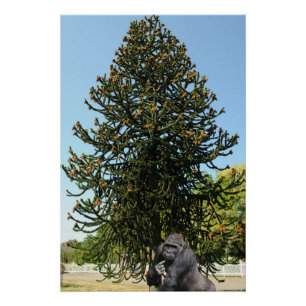 Monkey Puzzle. Poster
