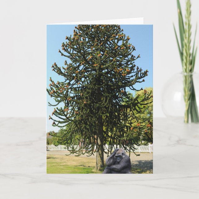 Monkey Puzzle & Puzzled Gorilla. Card (Front)